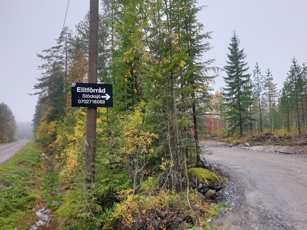 Nära Umeå centrum